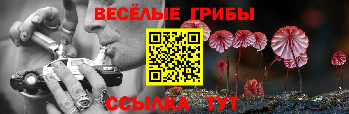 Псилоцибиновые грибы прущие грибы  даркнет сайт  Галлюциногенные грибы мицелий  Мирный  Вход с VPN 
